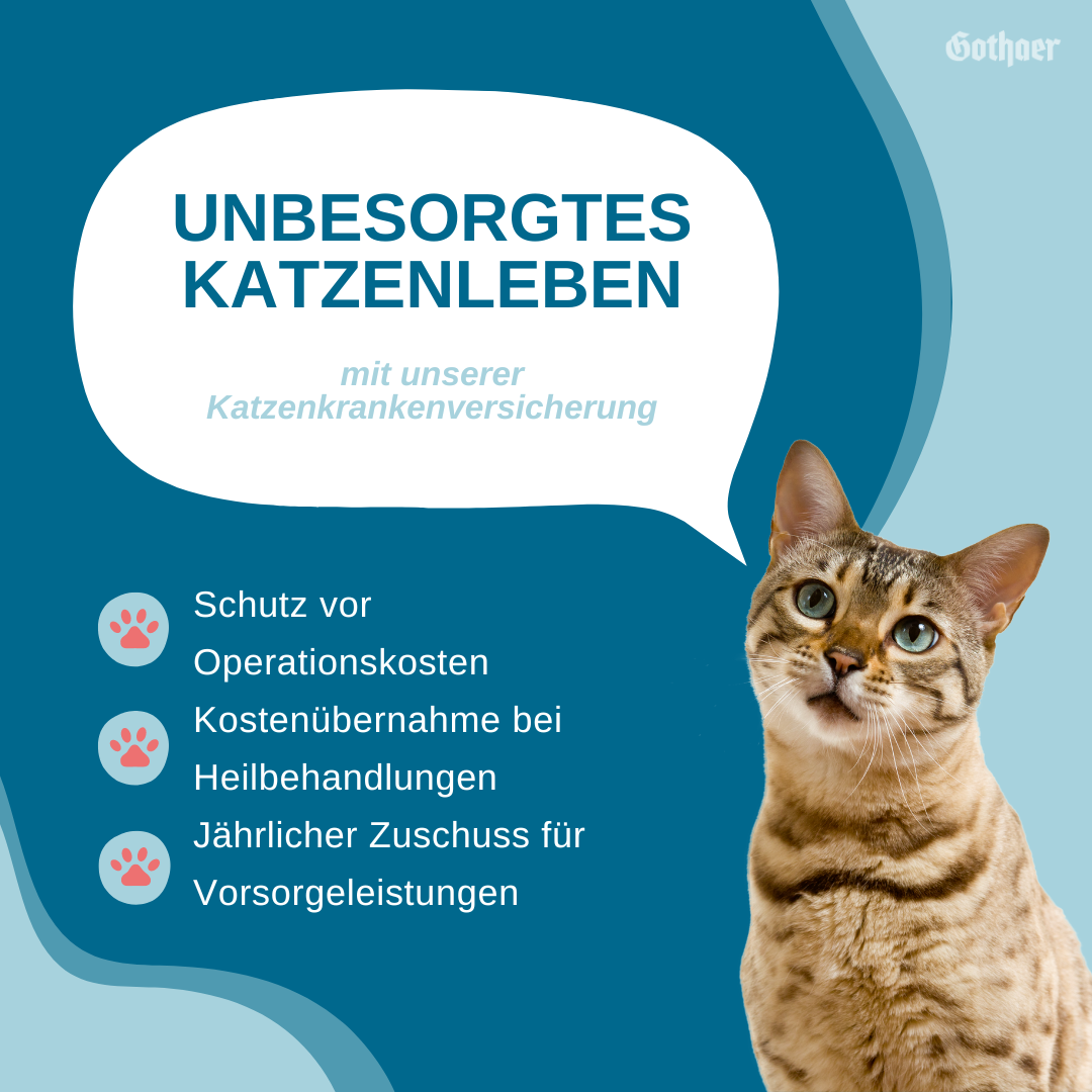 Tierzusatzschutzversicherung-Gothaer